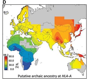 Bağışıklık Sistemimiz ve Neandertaller